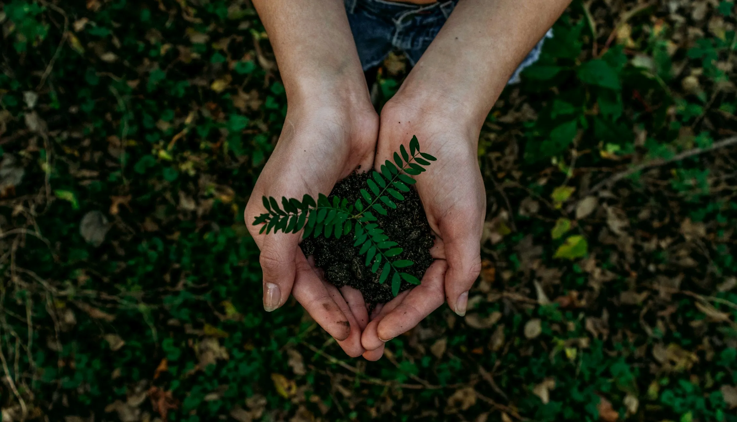 SUSTAINABILITY